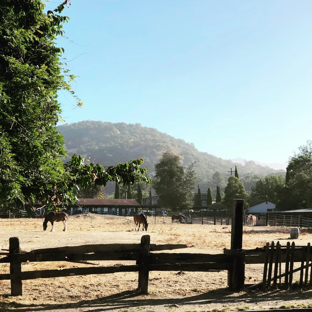 JPEG image-6495118138DF-1.jpeg