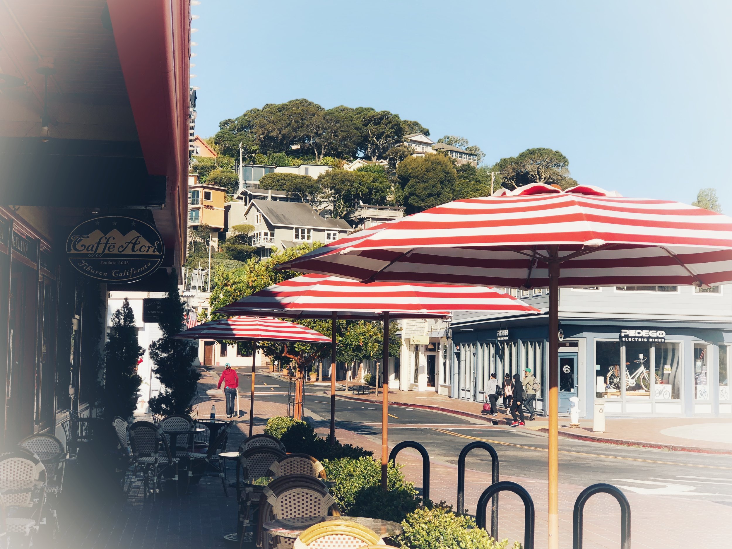 JPEG image-62425D1D6F62-1.jpeg