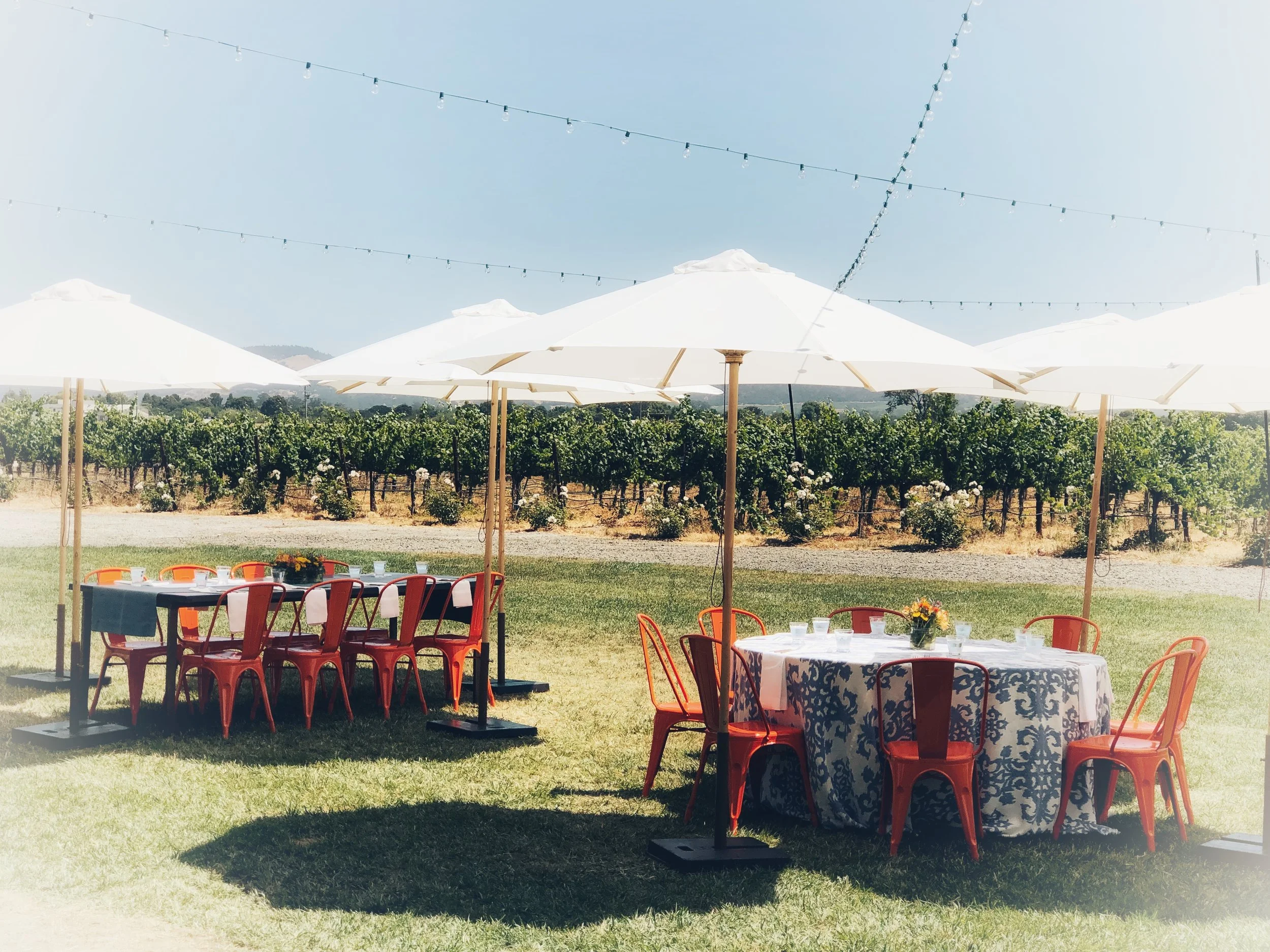 Vineyard Picnics Table. Set. Ready. Go. How close the vineyards would you like to sit?