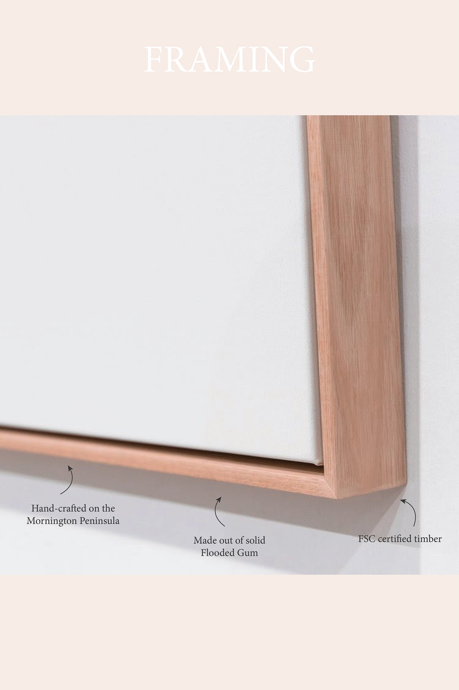 A photograph of a corner detail of the flooded gum float framing for canvas prints. Information text says it is hand-crafted on the Mornington Peninsula and that the timber is FSC certified.