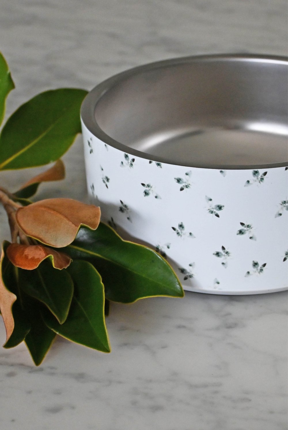 Designer Dog Bowls