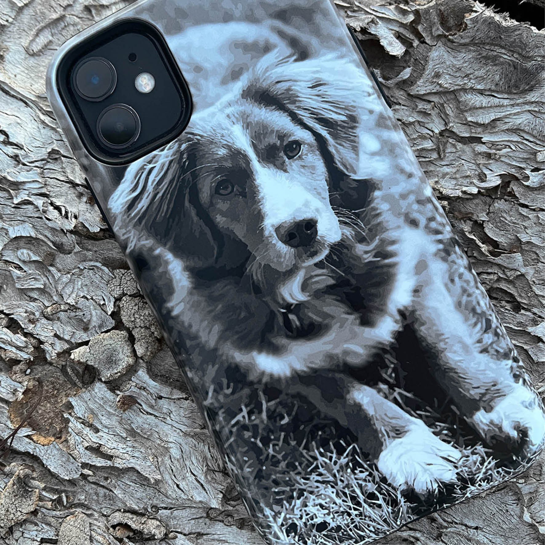 custom-dog-phone-cases.jpg