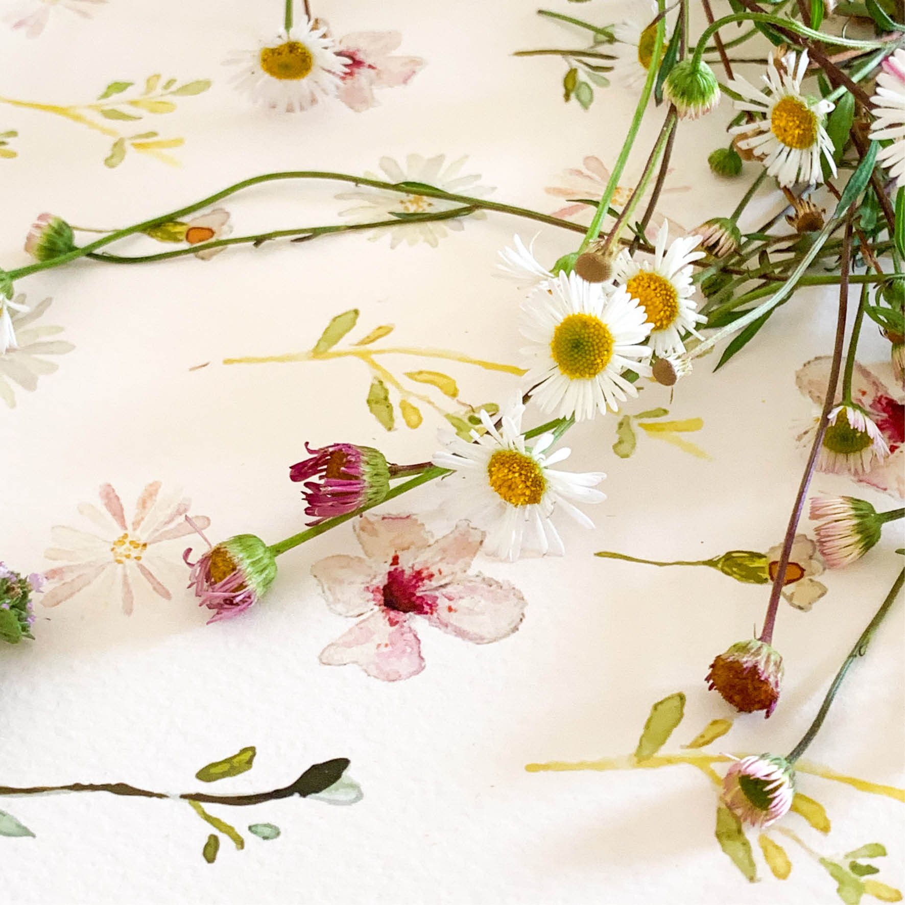 frankie-wildflower-fine-art-print-cotton-rag-paper.jpg