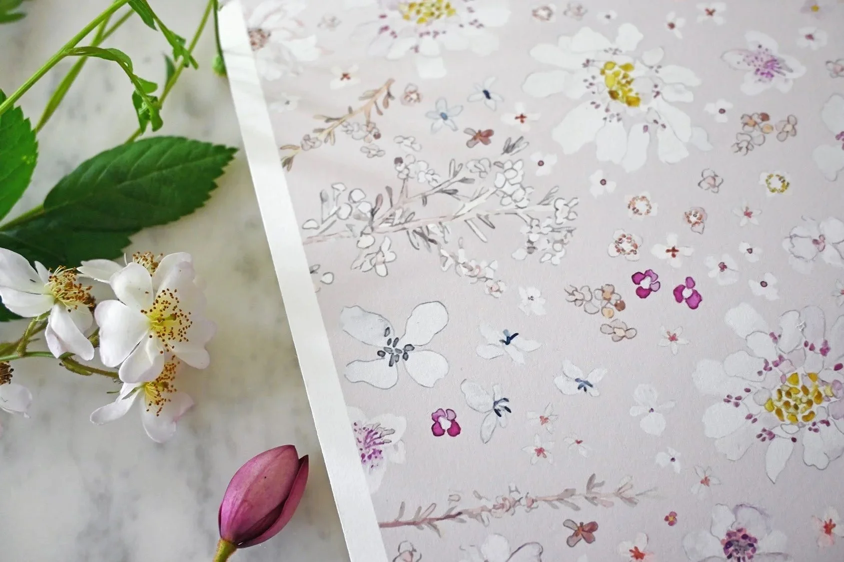 What Is Cotton Rag Paper? (And Why It’s Used for Fine Art Prints)