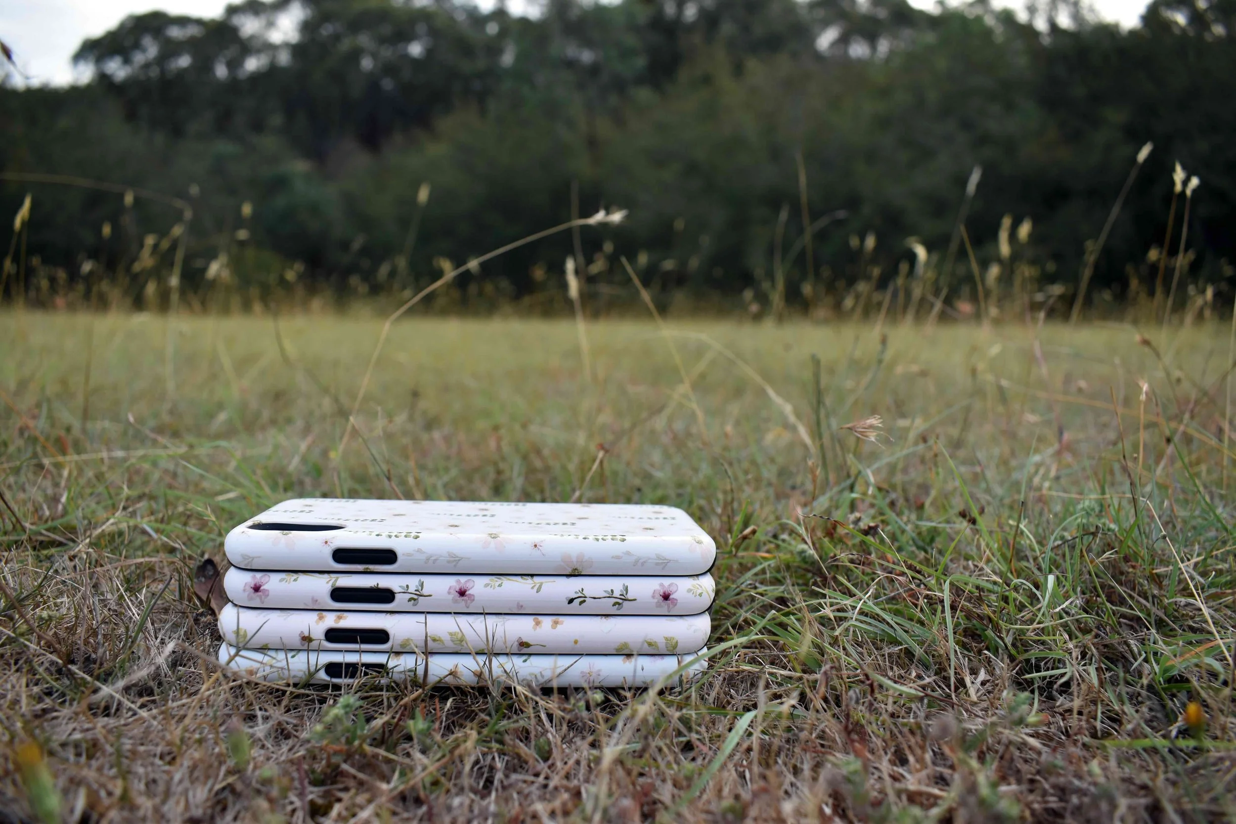 Wildflower Gifts for Her: Soft, Nature-Inspired Ideas She’ll Love