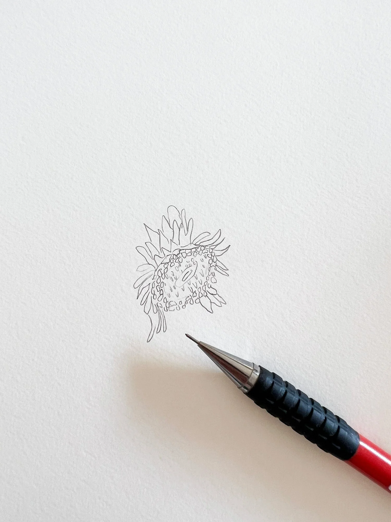flower-drawing-to-create-floral-typography.jpg
