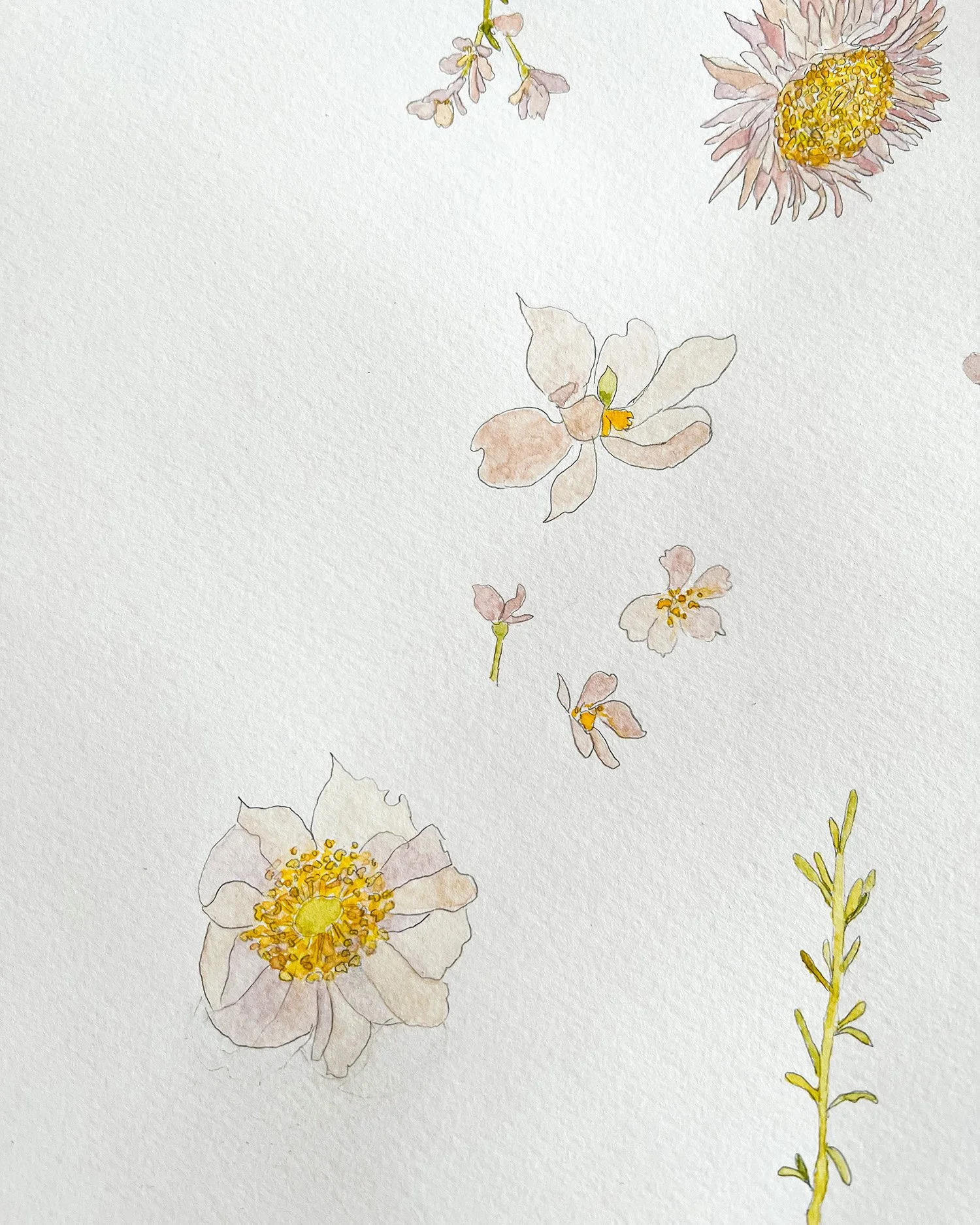 flower-painting-watercolour-for-floral-letters.jpg