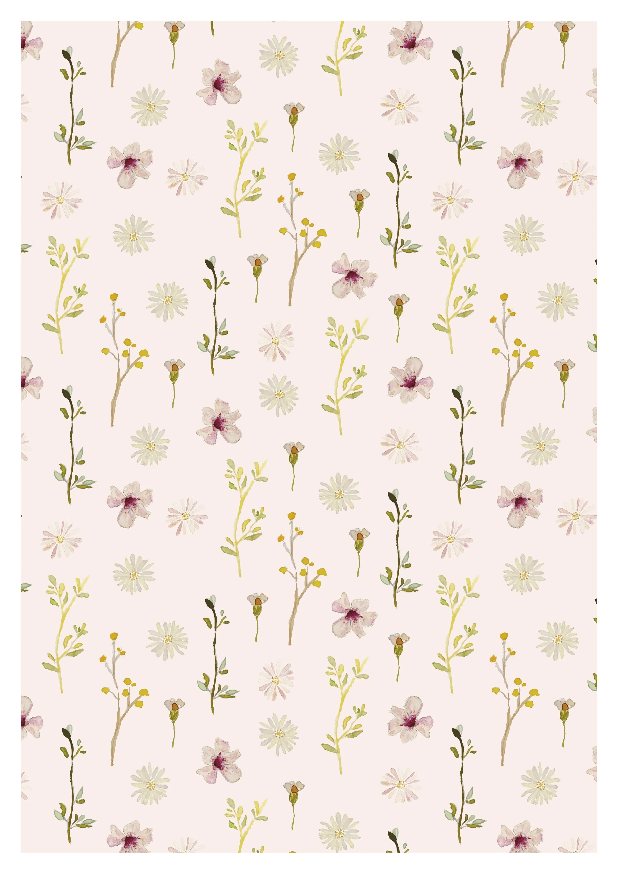 Frankie A4 Pale Pink Background.jpg