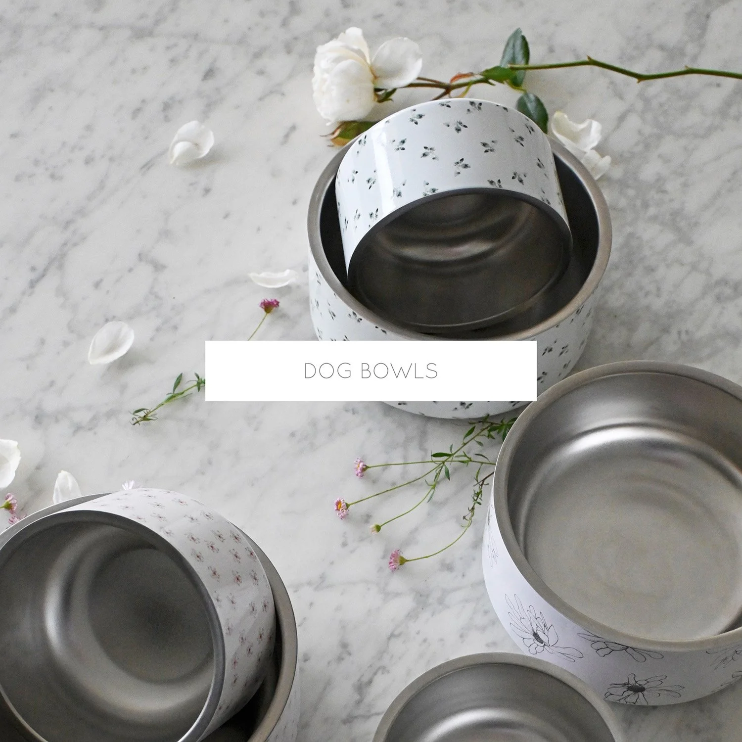 talia-designs-stainless-steel-dog-bowls.jpg