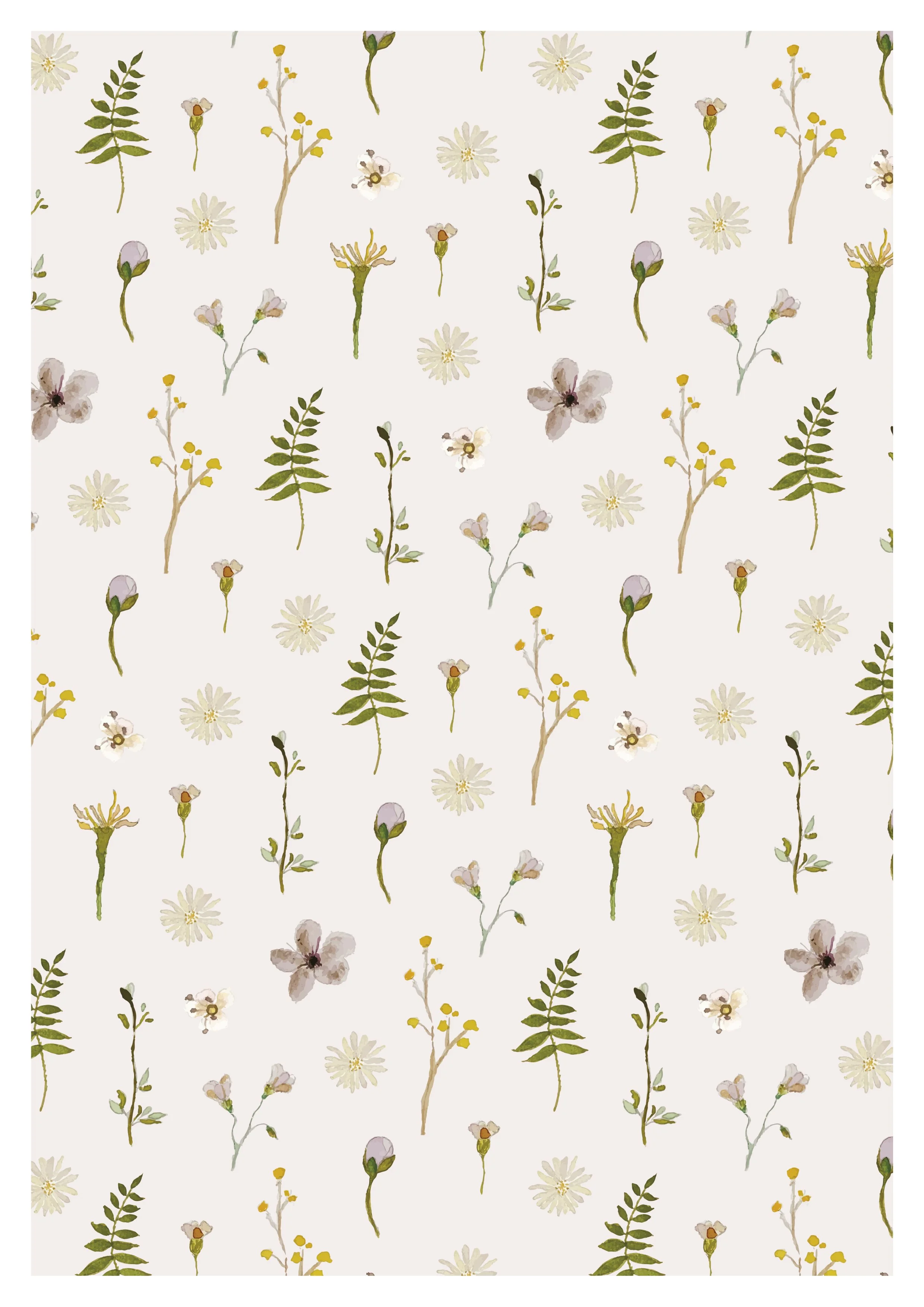 Dawn A4 Pale Lilac Background.jpg