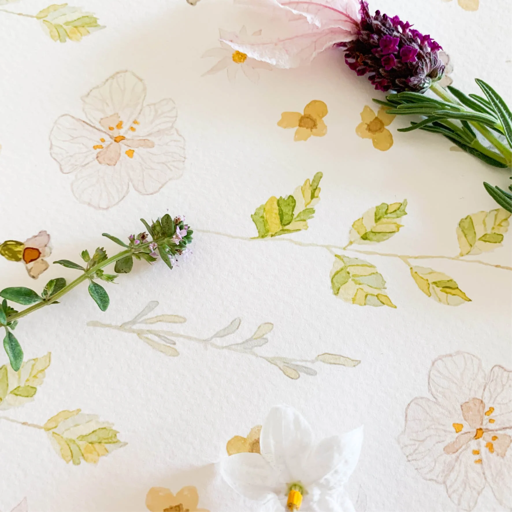 yara-wildflower-cotton-rag-paper-print.jpg