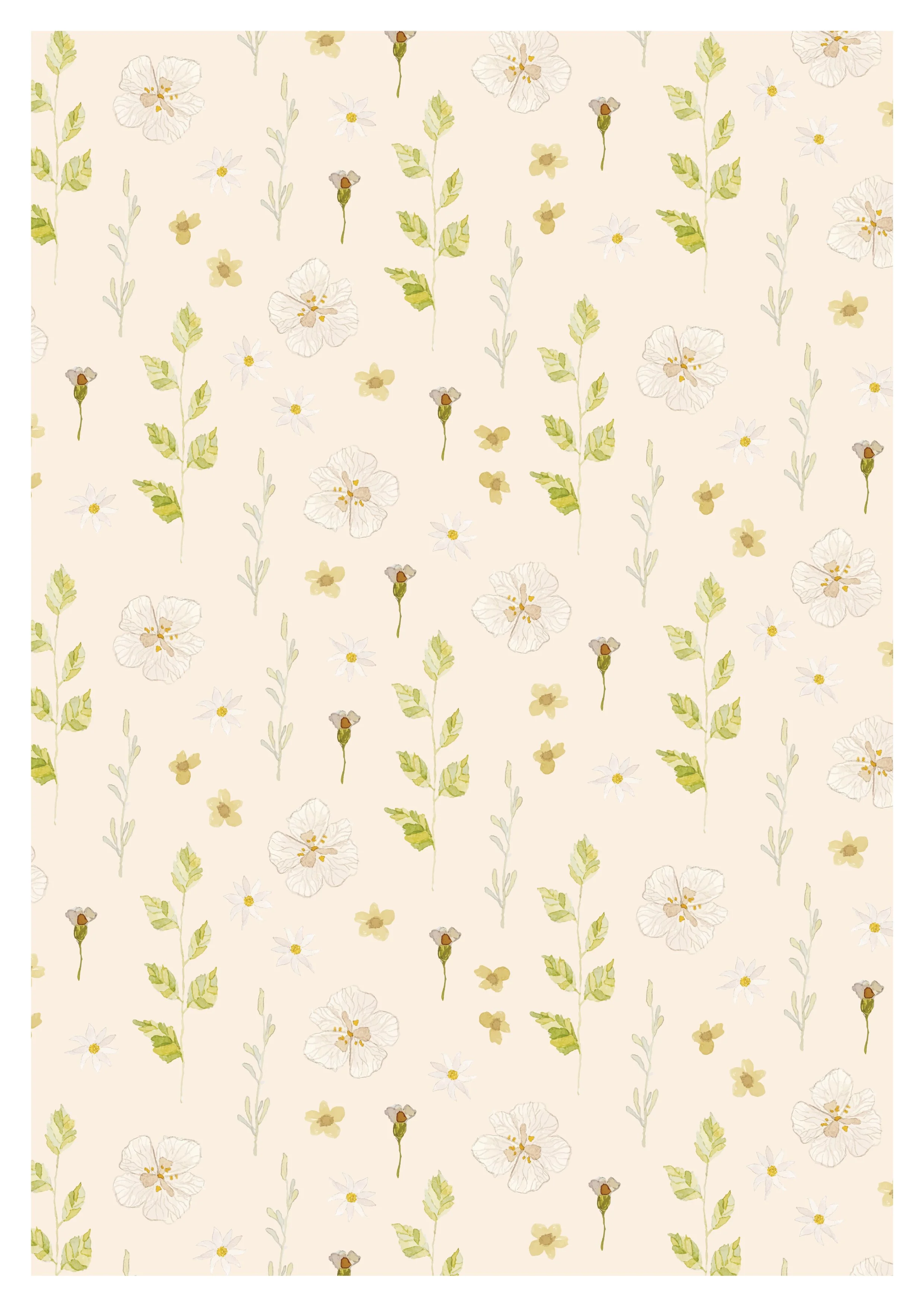 Yara A4 Pale Peach Background.jpg