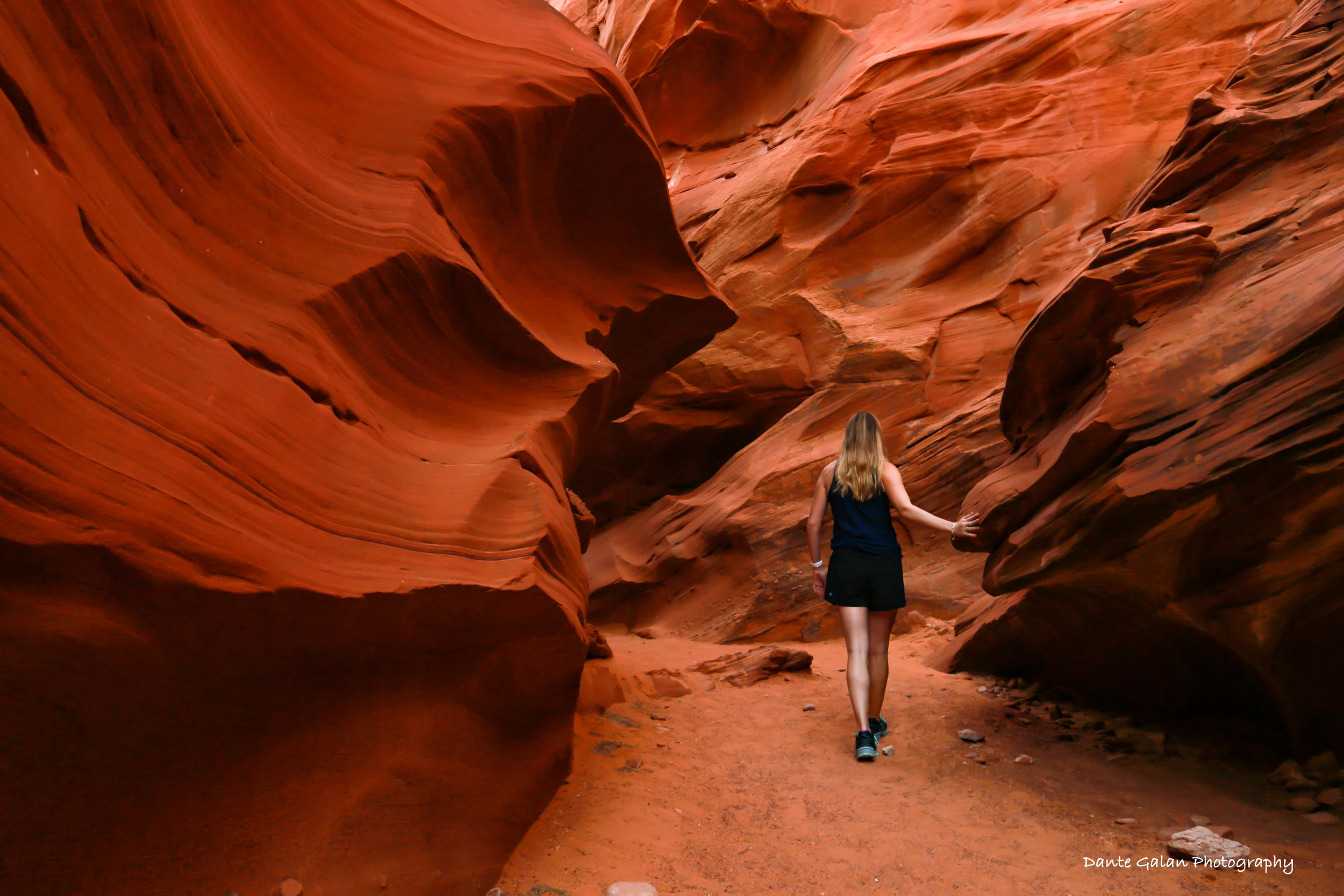 DM2B8663 copy_watermark.jpg