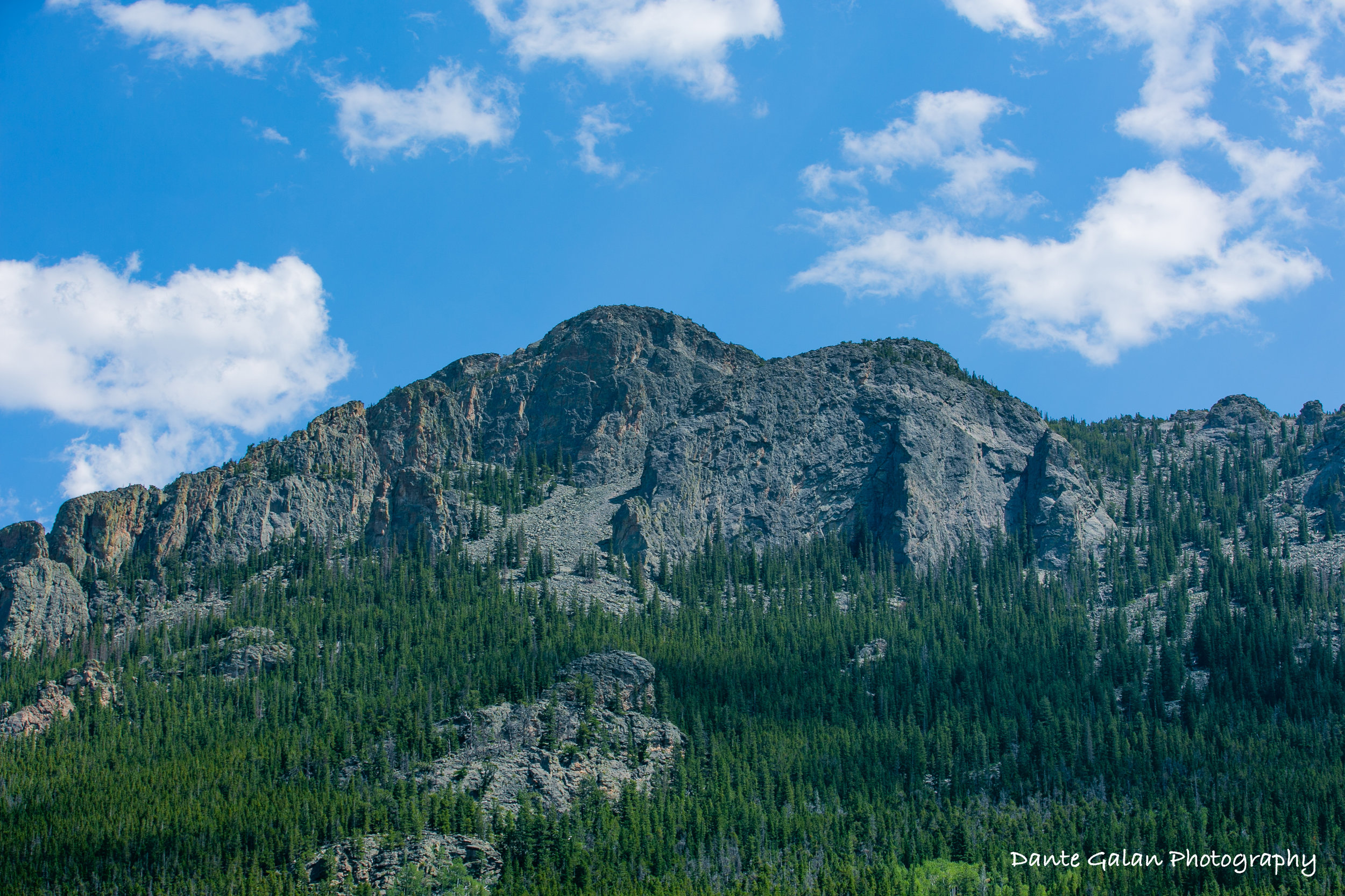 DM2B0422 copy_watermark.jpg