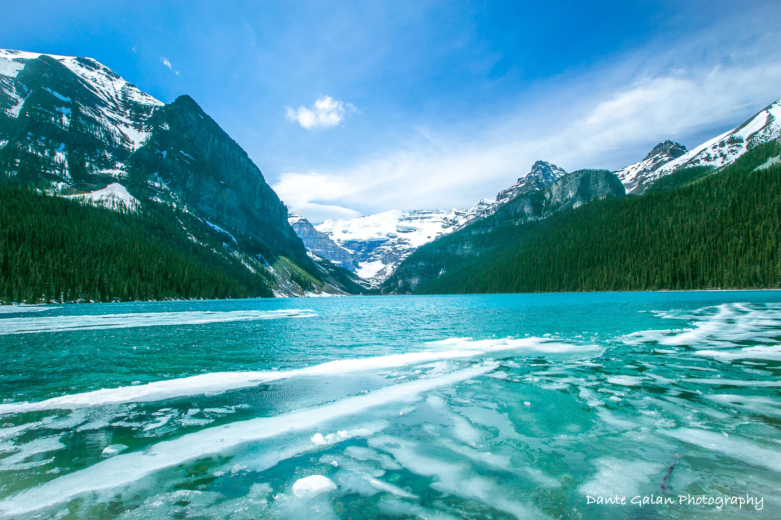 DM2B1394_final edit copy_watermark.jpg