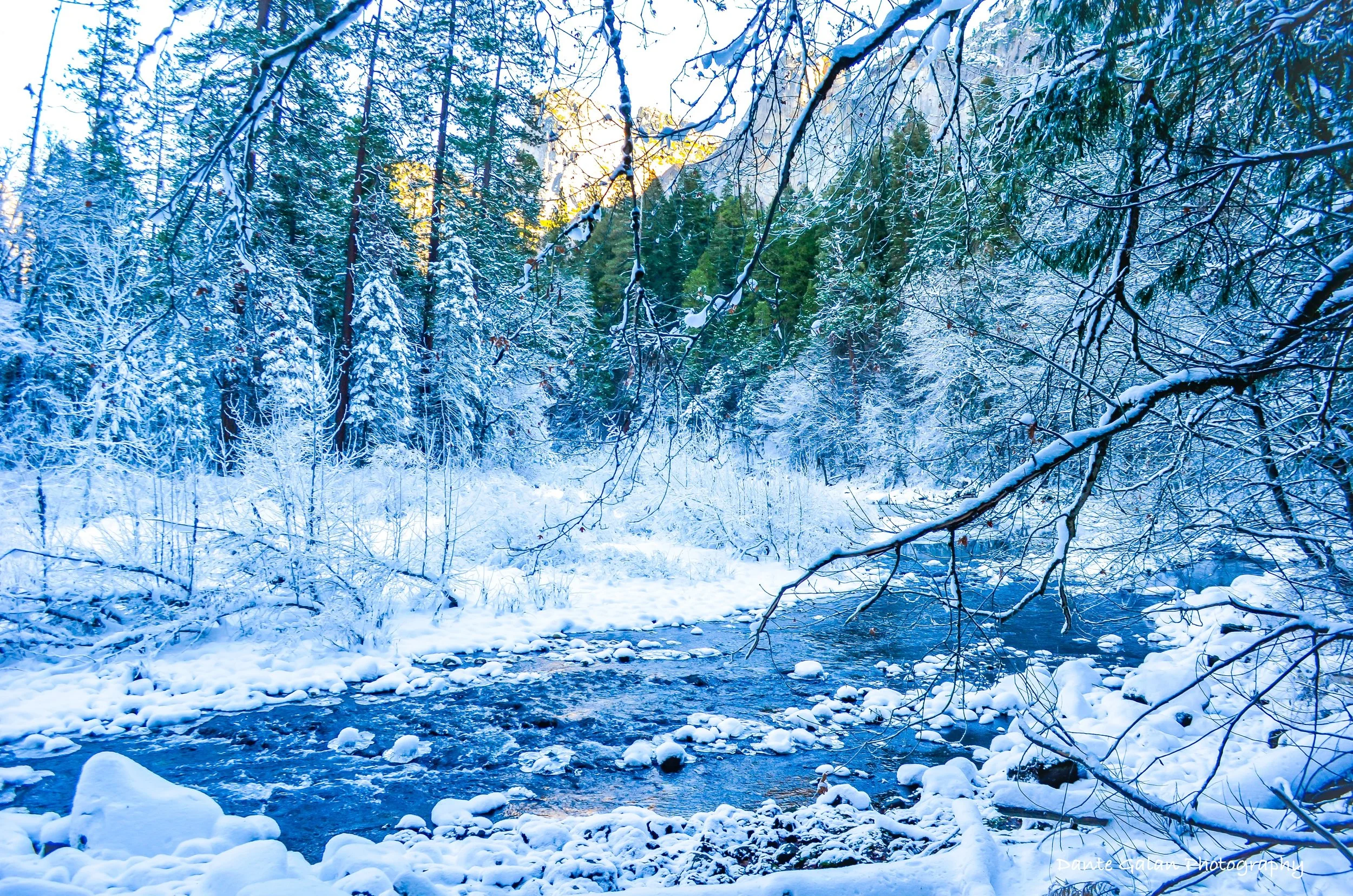 _DSC0002 copy_watermark copy_lower res.jpg