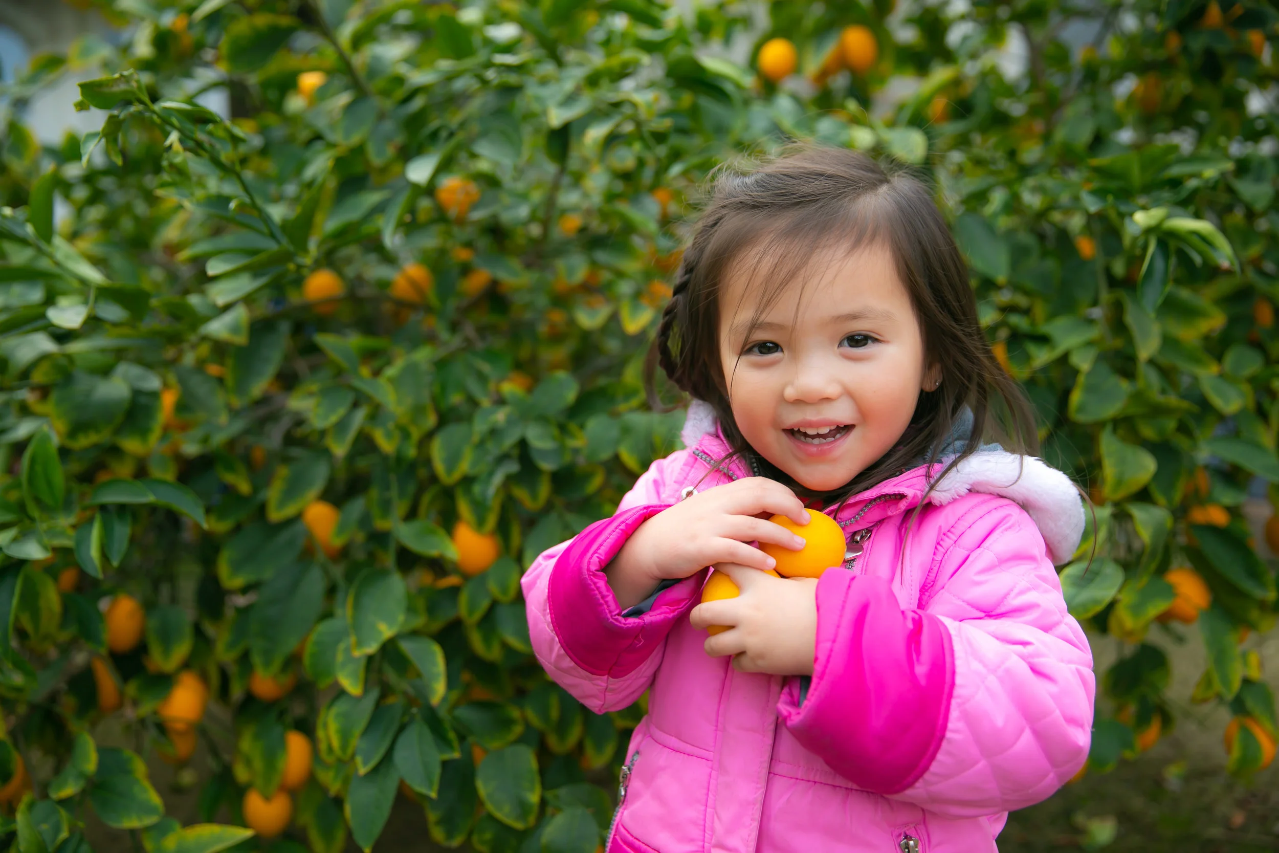 DM2B3485_Ready copy.jpg