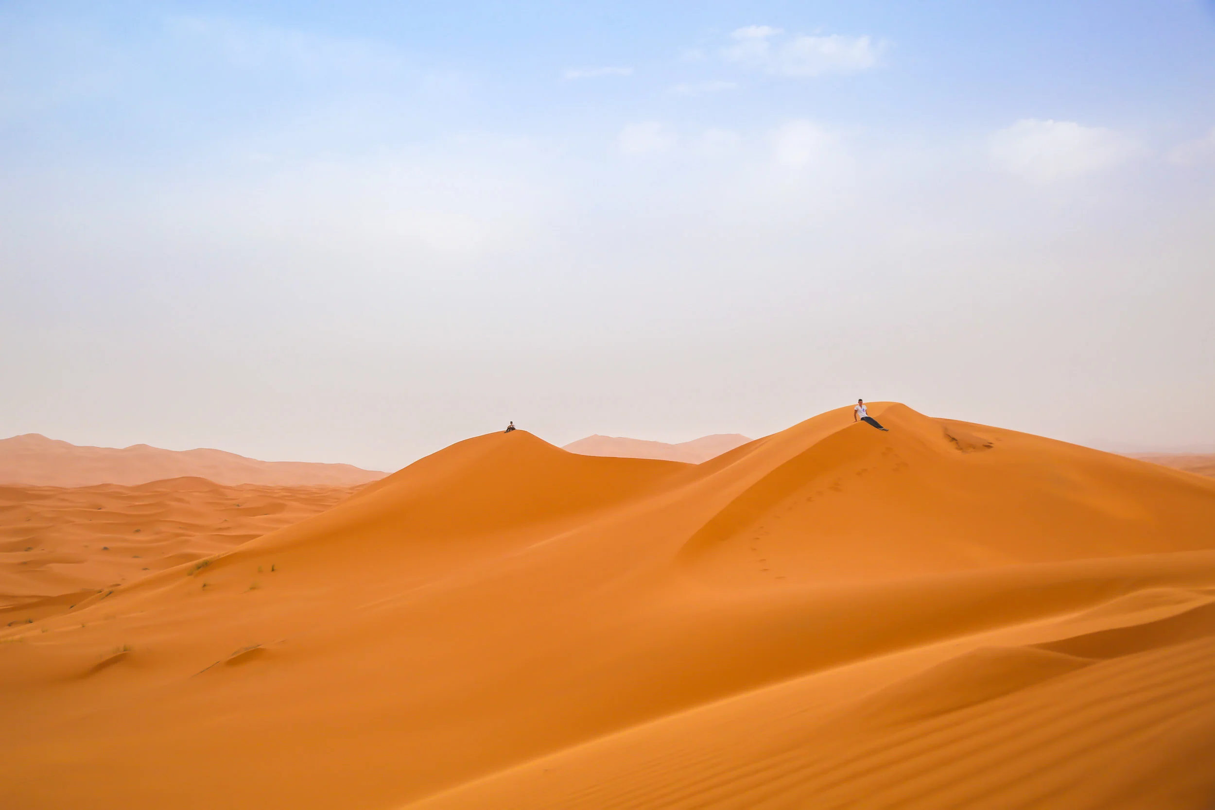 DM2B7983-2_wix_POSTED 2.jpg