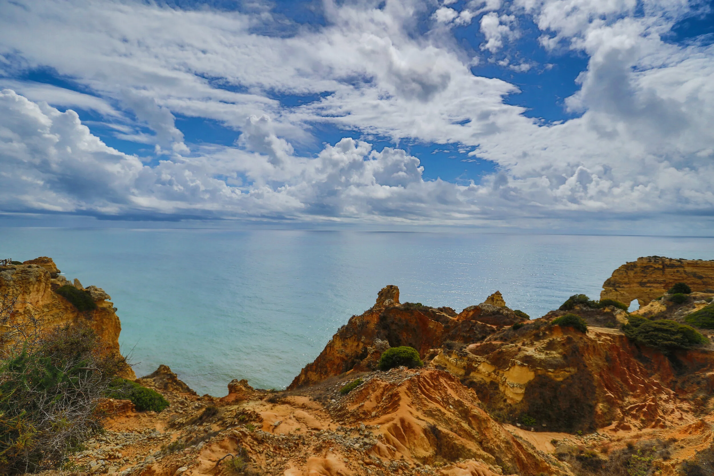 1 done DM2B9006-2_WIX copy.jpg