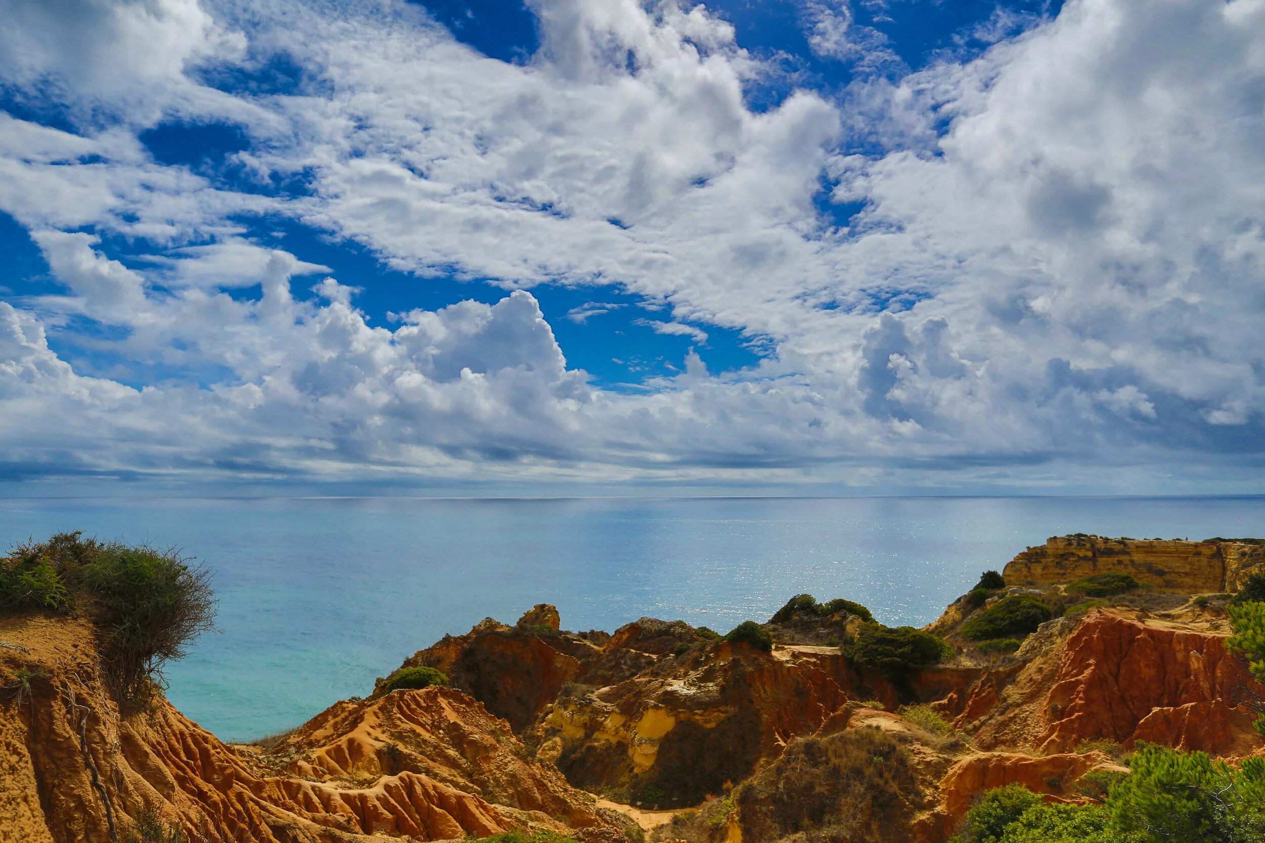 1 done DM2B9014-3_WIX copy.jpg