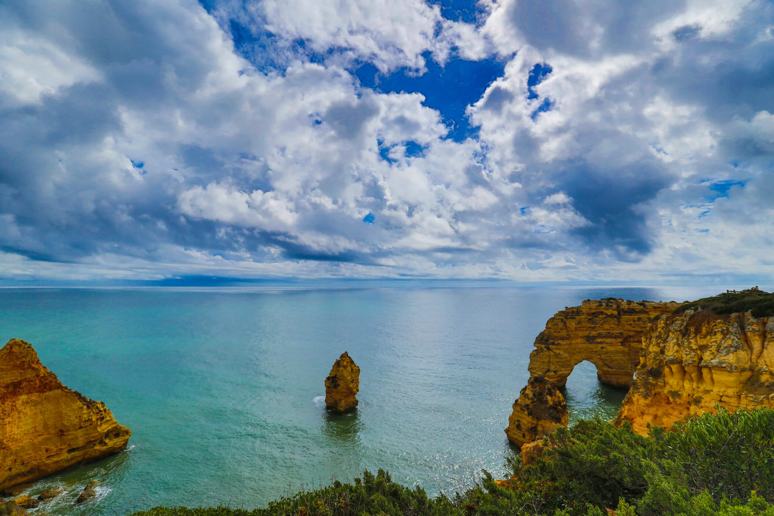 1 done DM2B9022-2a_WIX copy.jpg