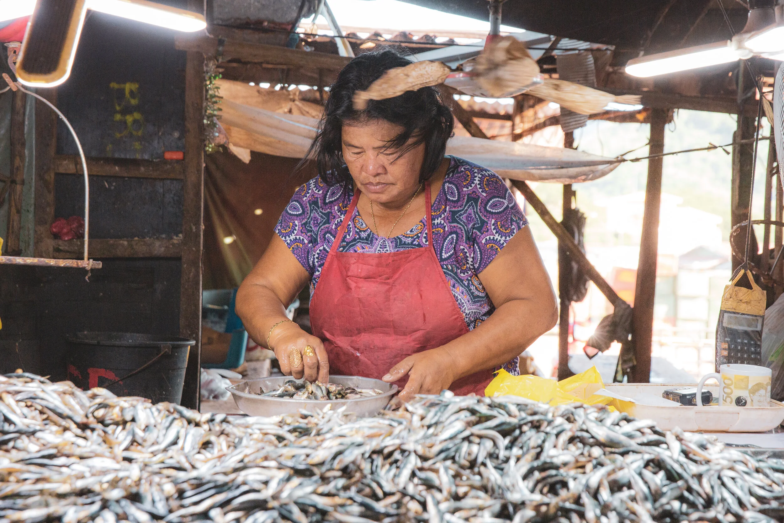 DM2B9371.jpg
