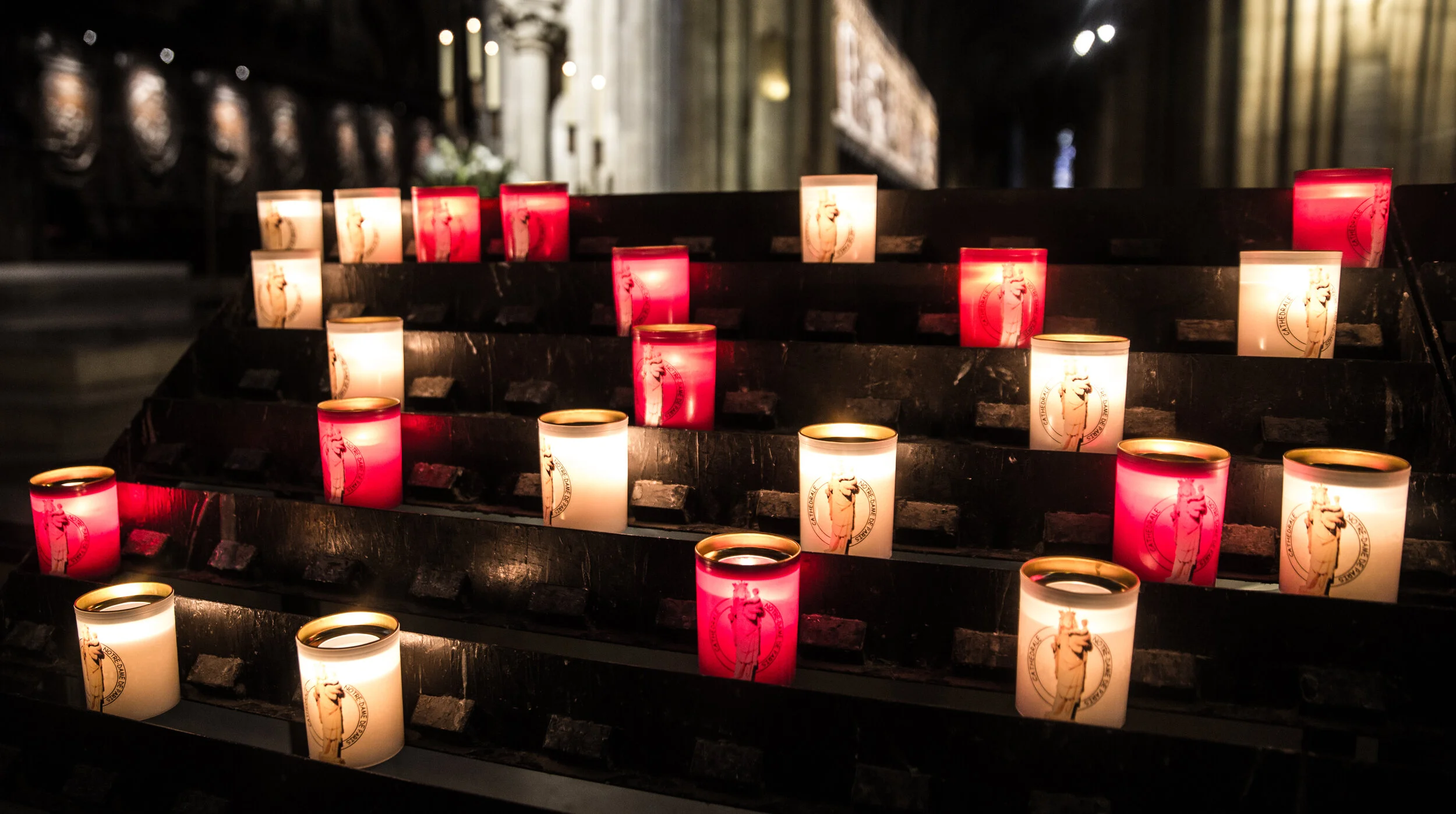 DM2B8889wix copy.jpg