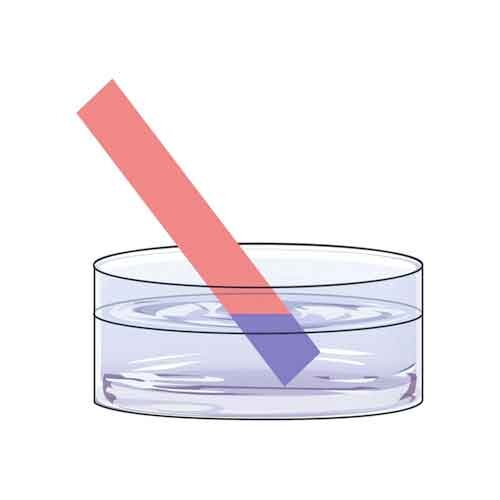 Bracton Test Strips 200pk