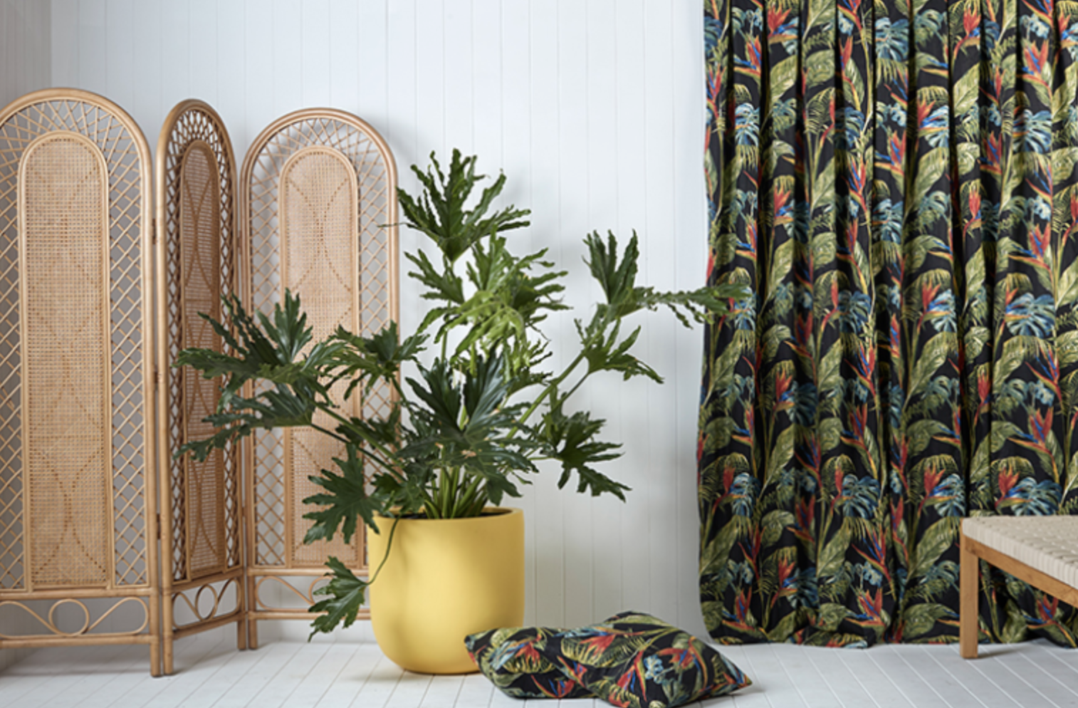 Screenshot 2025-07-05 at 10.32.31 am.png