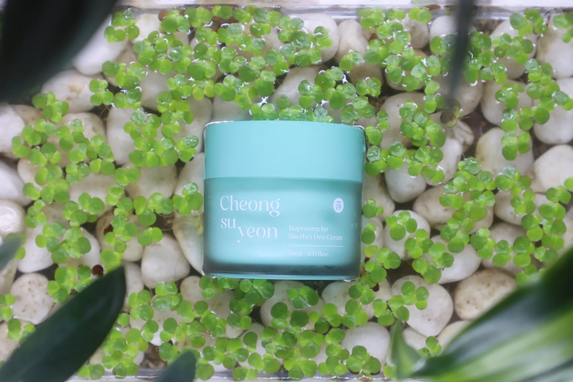 Dew Cream River .webp