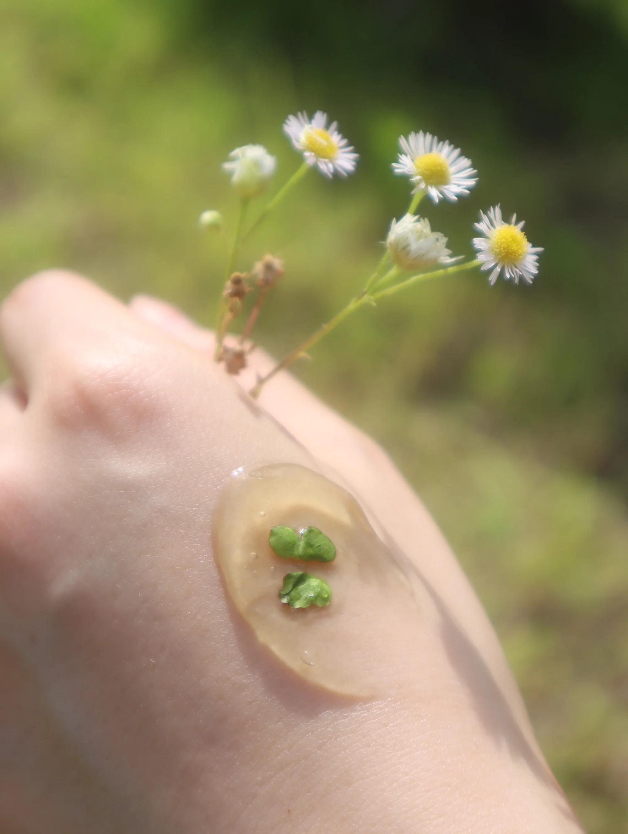 texture outside smaller.webp