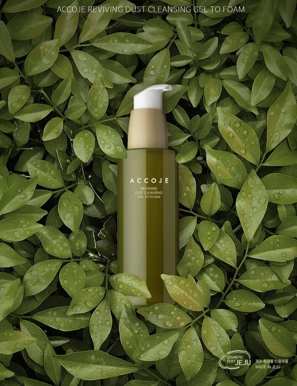 top korean face cleansers