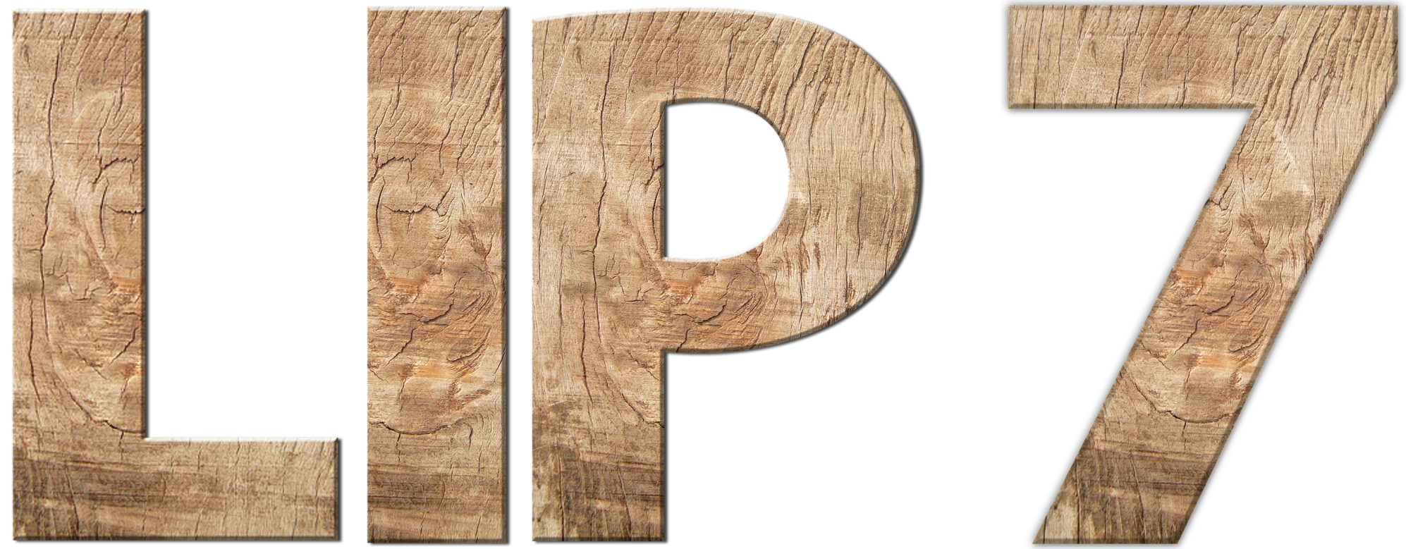 teamprofil lip 7.png