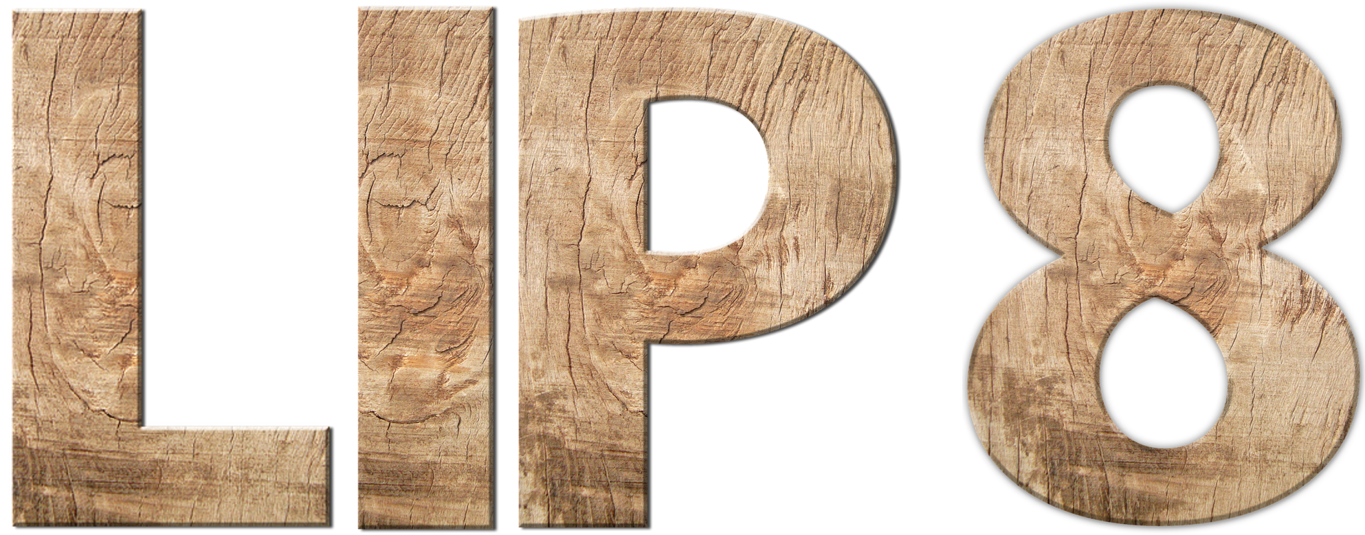 teamprofil lip 8.png