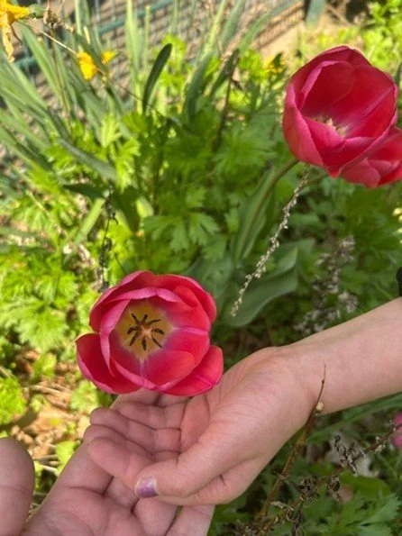 Neben meiner liegt die kleine Hand des Kindes...