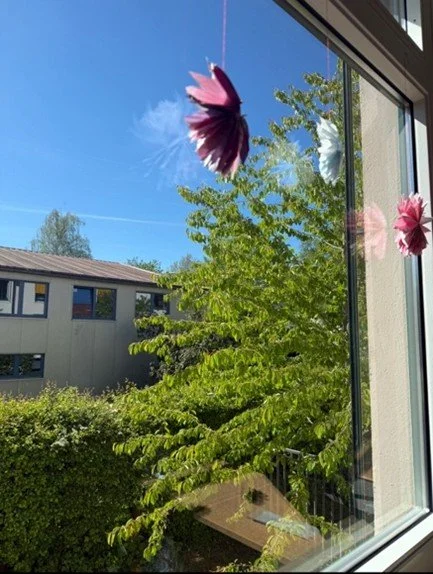 Zu sehen, wie sich die Kinder Schritt für Schritt entwickeln ...