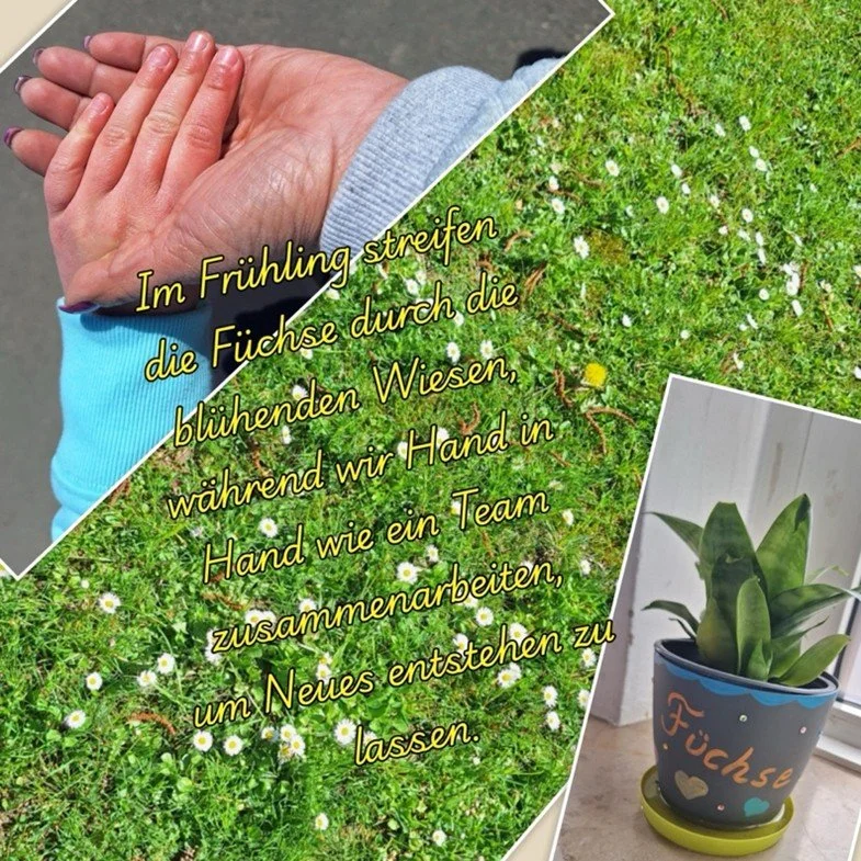 Im Frühling streifen die Füchse  ...