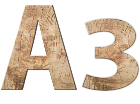 A3.png