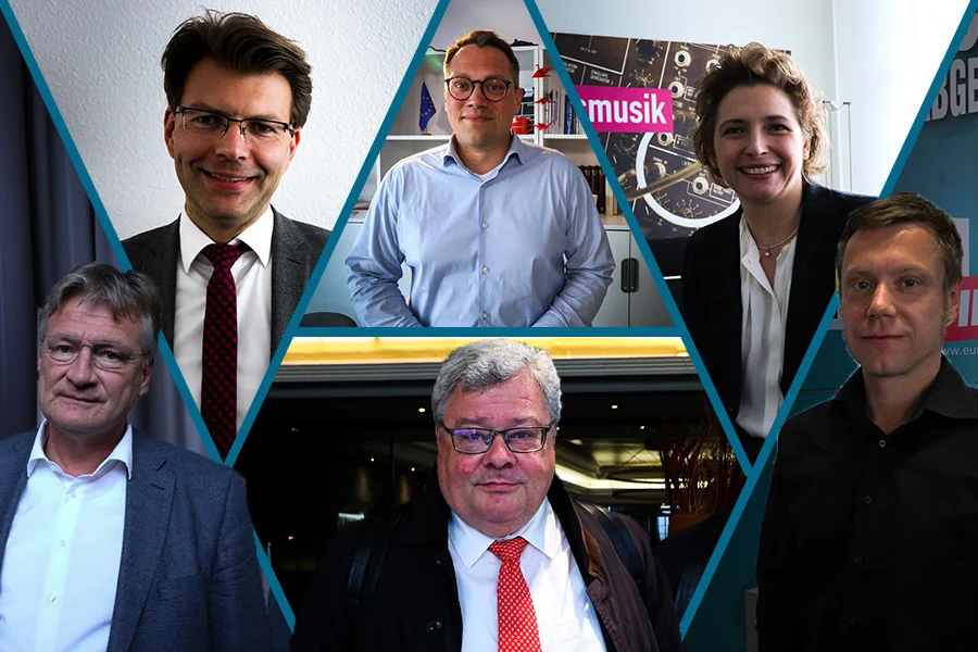 Jörg Meuthen, Daniel Caspary, Tiemo Wölken, Reinhard Bütikofer, Nicola Beer, Martin Schirdewan
