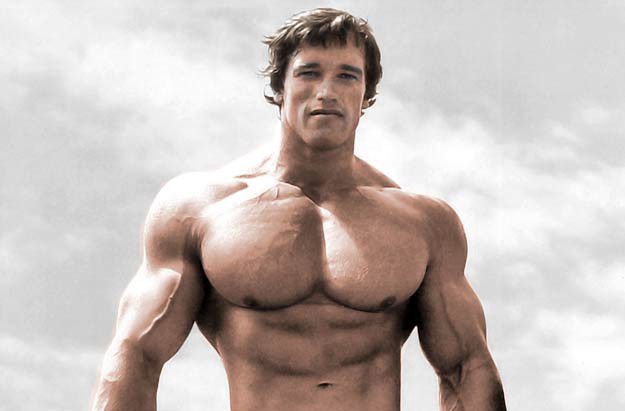 Me: “Hey Arnold, which books did you read to become so muscular?”