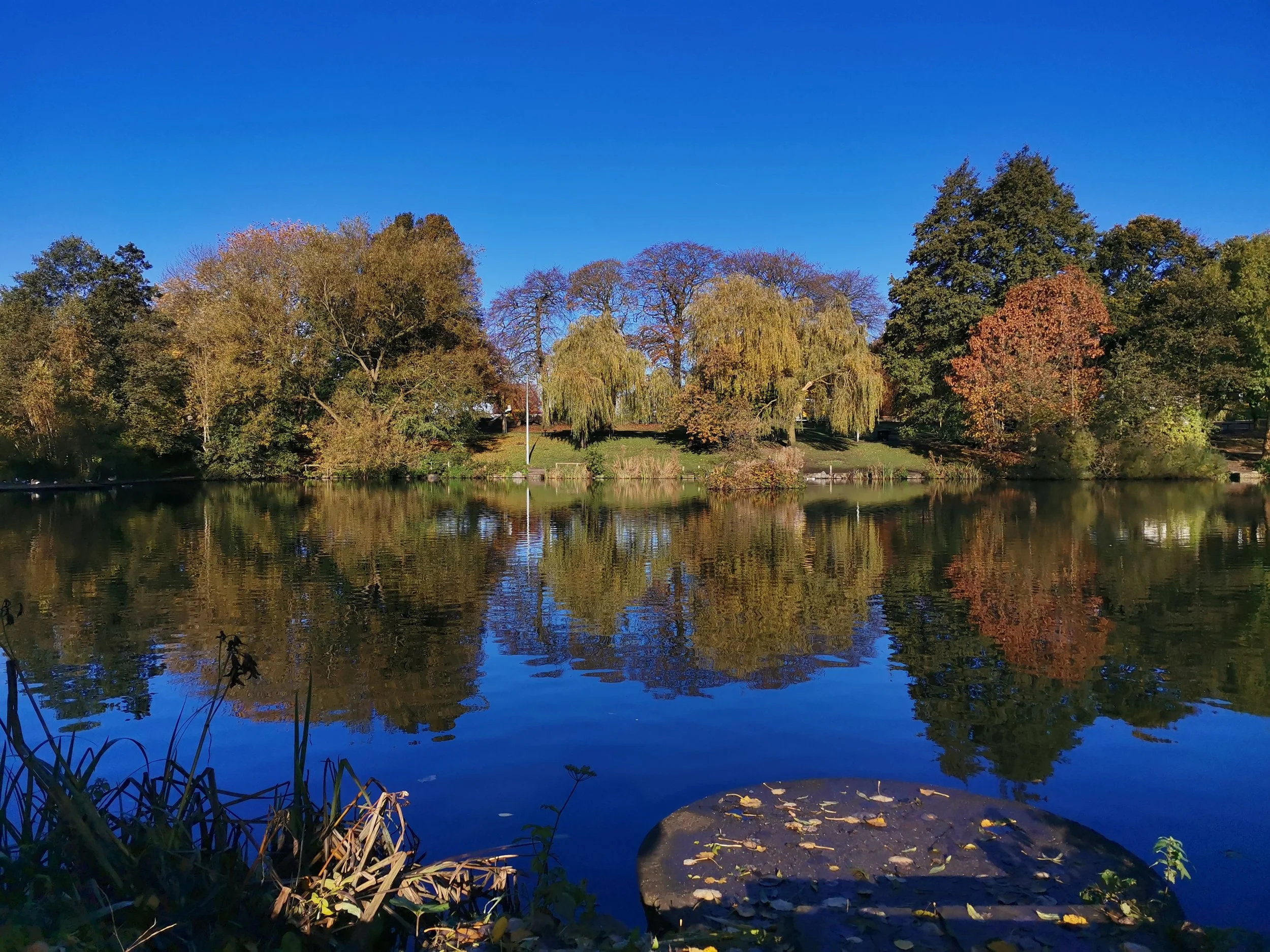 This week in counselling, want to change? Take a pause.