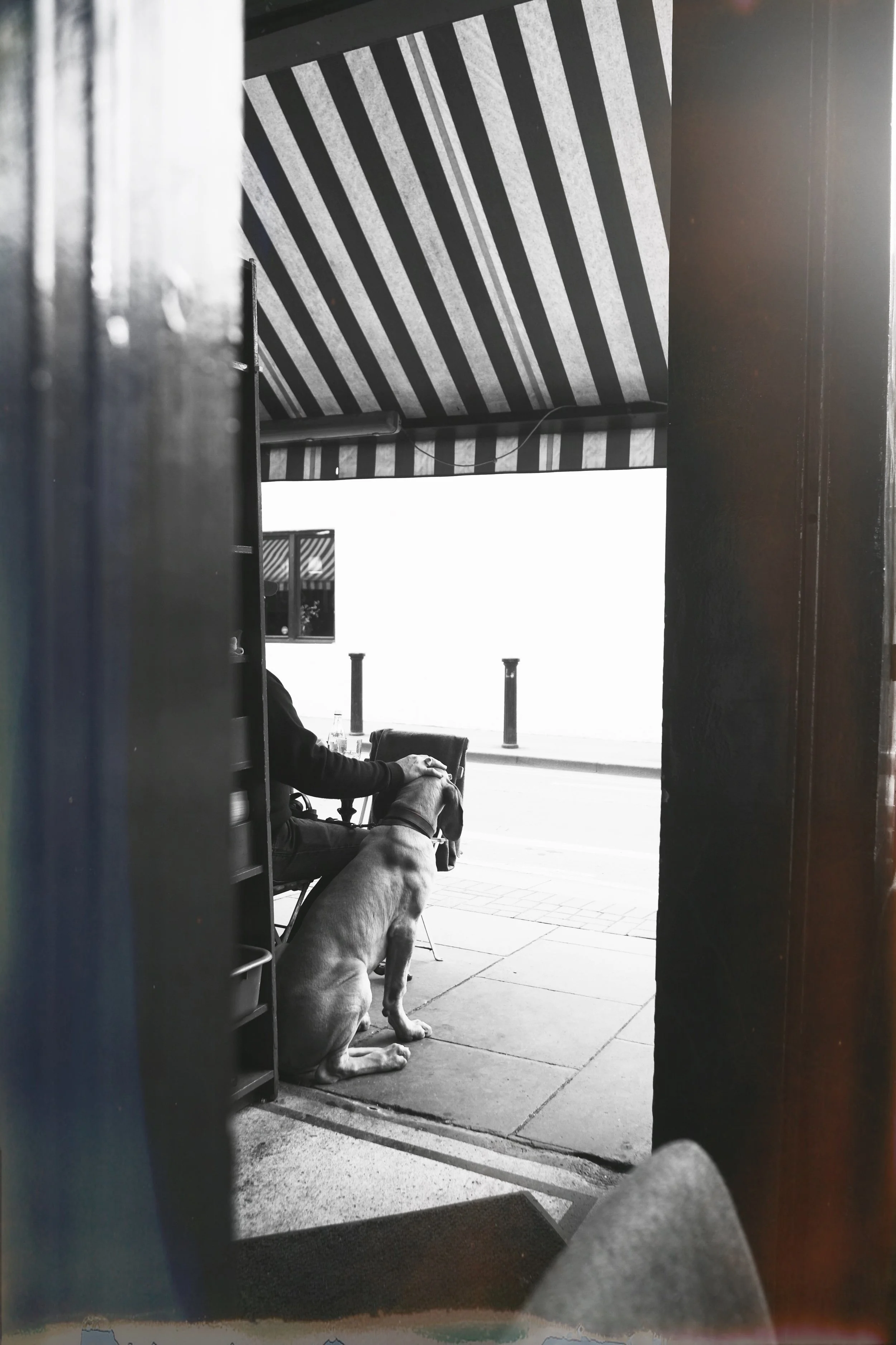 AfterlightImage+(2) (1).jpg