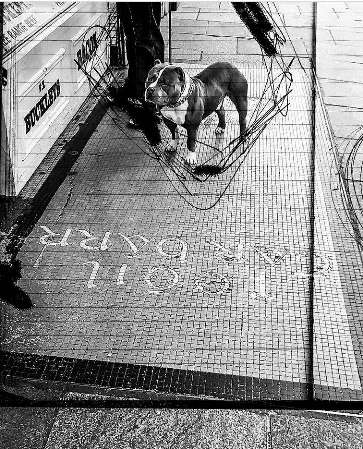 WhatsApp Image 2021-01-22 at 10.37.51.jpeg