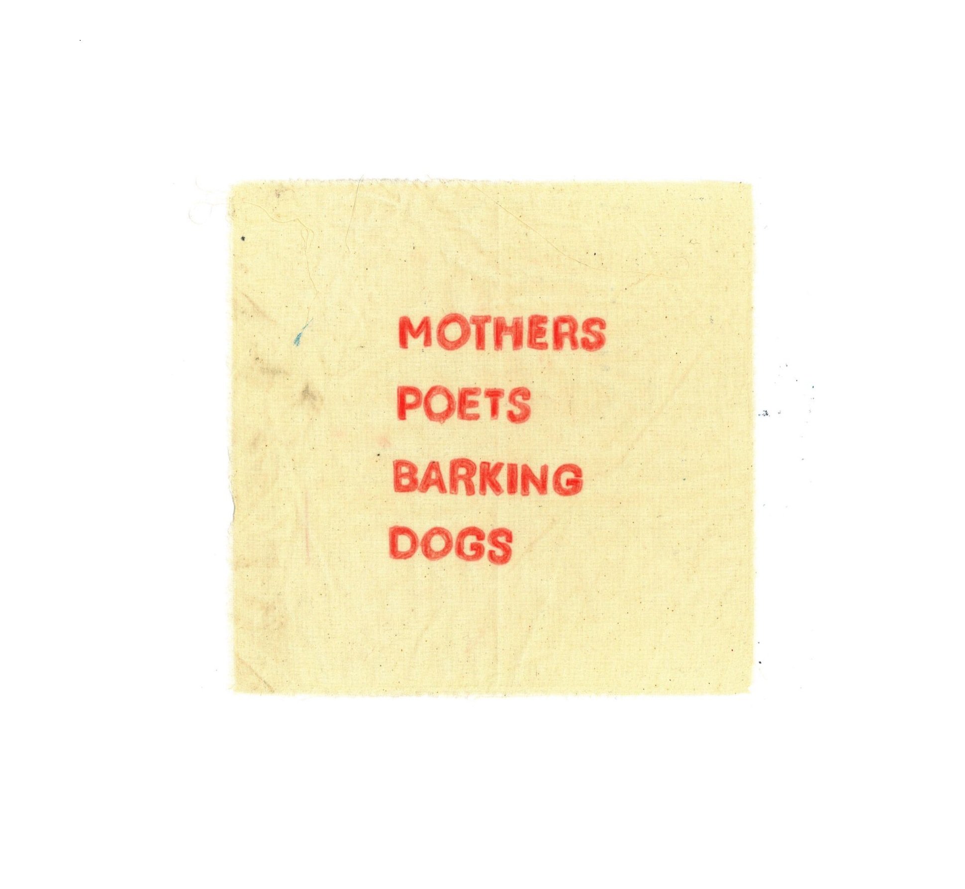 WhatsApp Image 2026-01-27 at 17.39.52.jpeg