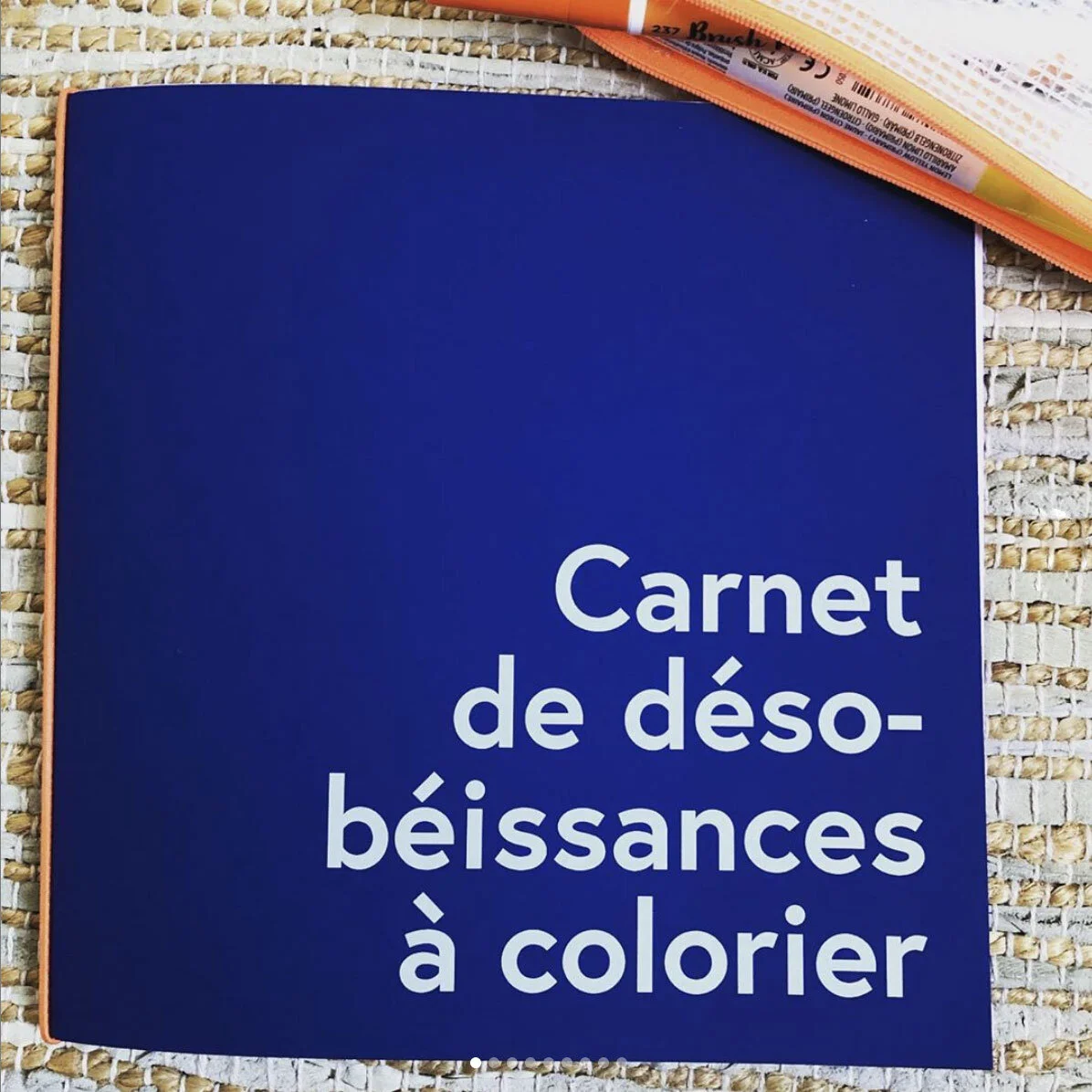 LE PANIER CULTUREL — Carnet de désobeissances