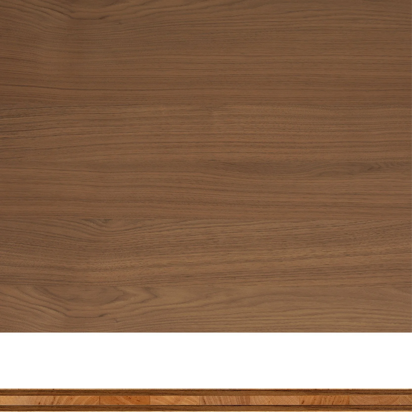 Engineering TEC_2.jpg