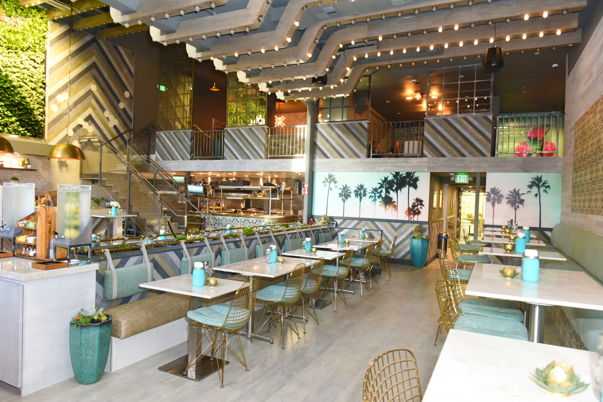 Tocaya-SD-Interior.jpg