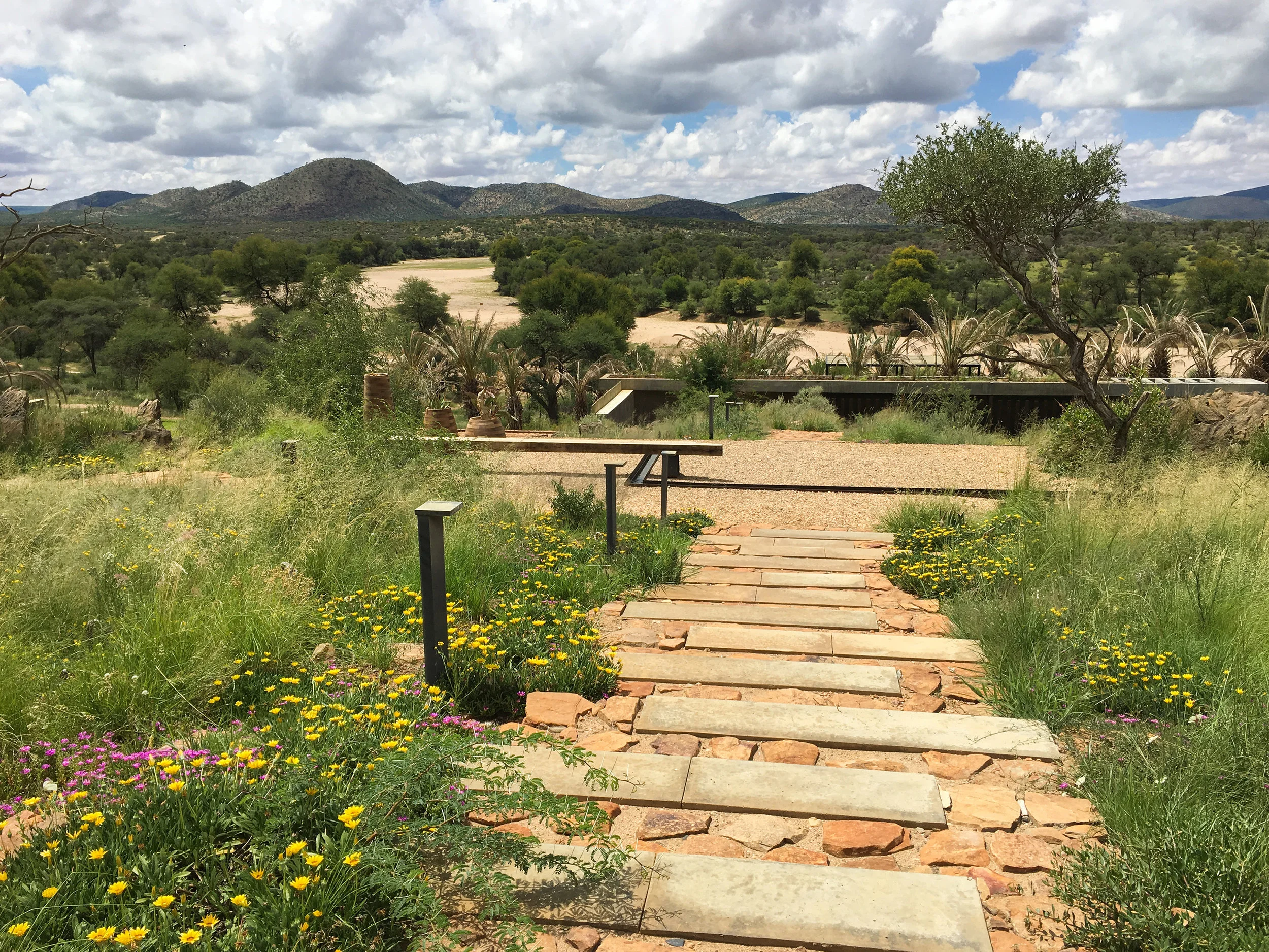 Mbaula Ranch Marula Game Ranch — GREENinc Landscape Architecture + Urbanism