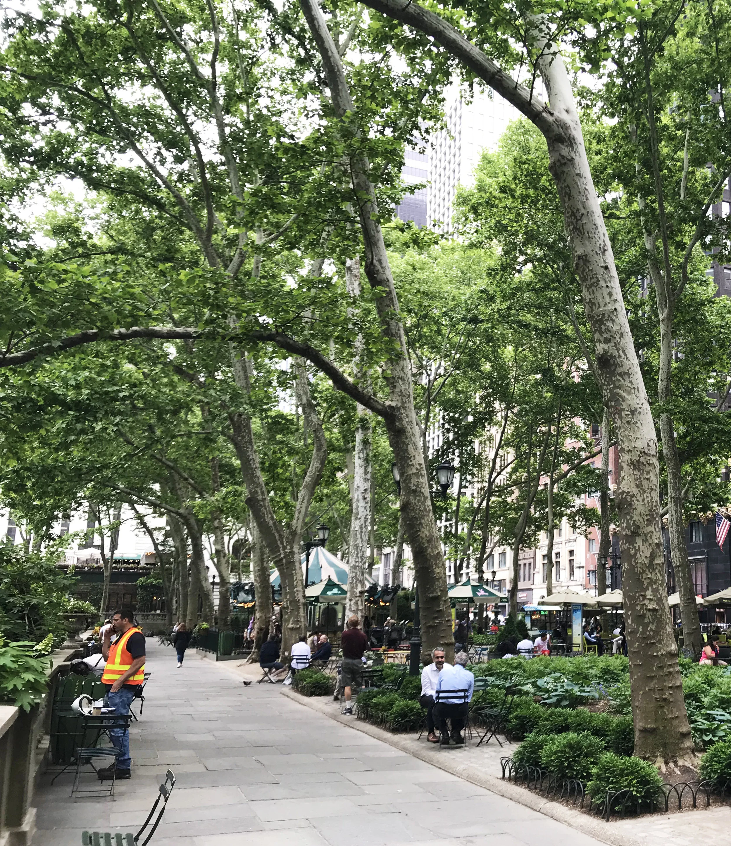 GREENincling in New York