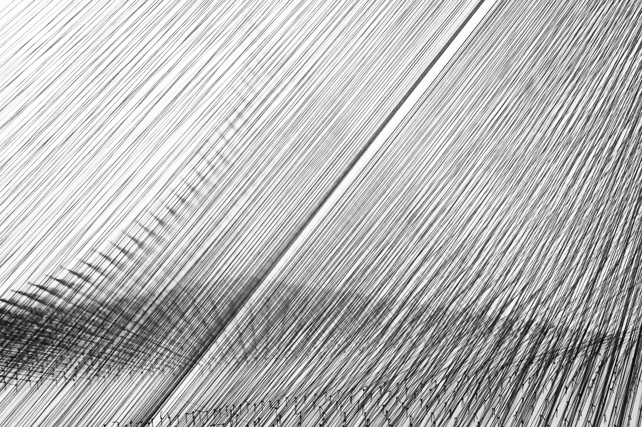 L1010960.jpg